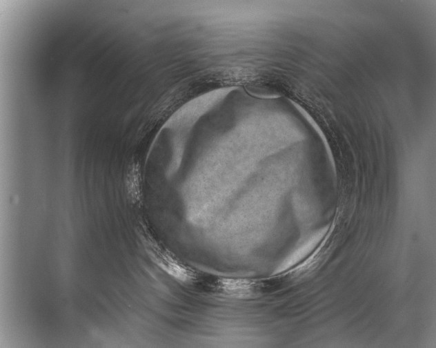 X0000071800144200607150156