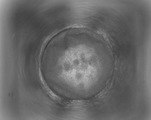 X0000071800145200607150155