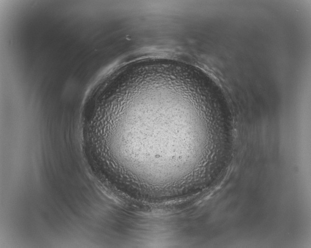 X0000071800149200607150155