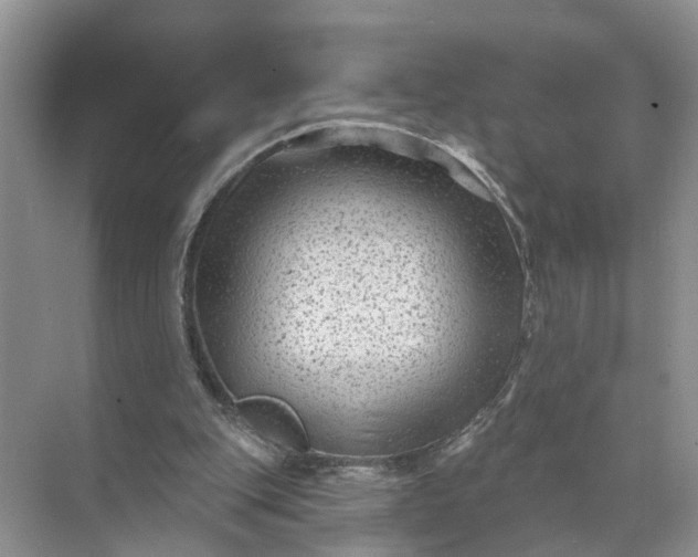 X0000071800151200607150155