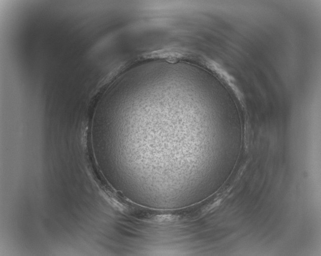 X0000071800153200607150155