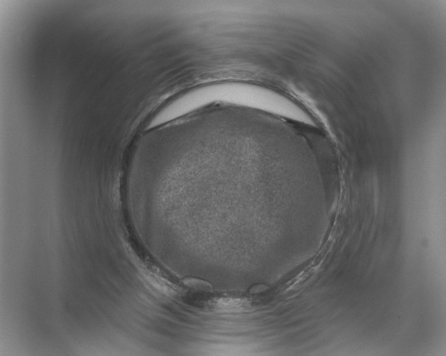 X0000071800154200607150155