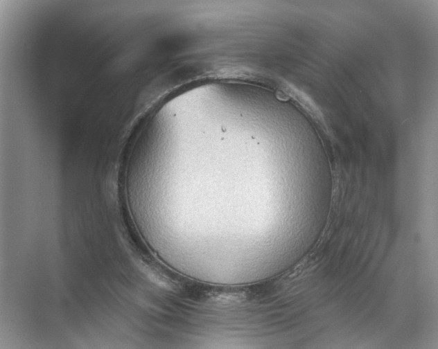 X0000071800155200607150155