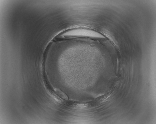 X0000071800156200607150155