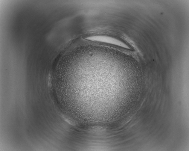 X0000071800161200607150156