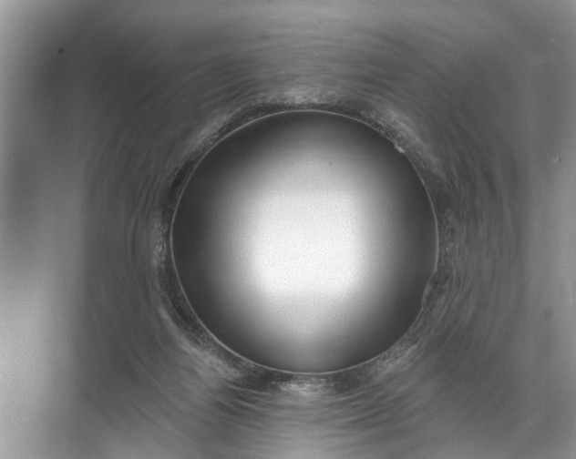 X0000071800164200607150156