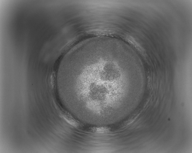 X0000071800165200607150156