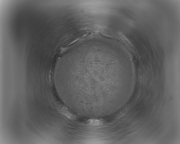 X0000071800169200607150156