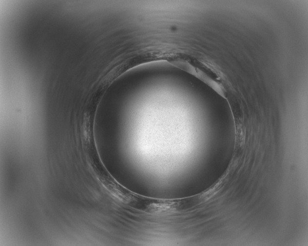 X0000071800170200607150156