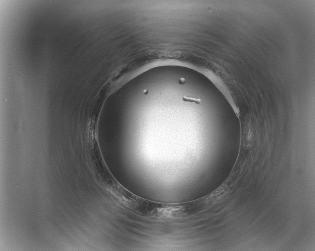 X0000071800172200607150156