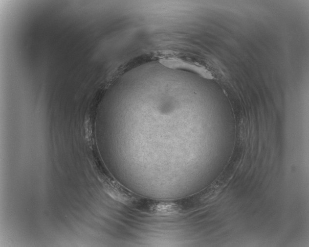 X0000071800173200607150156