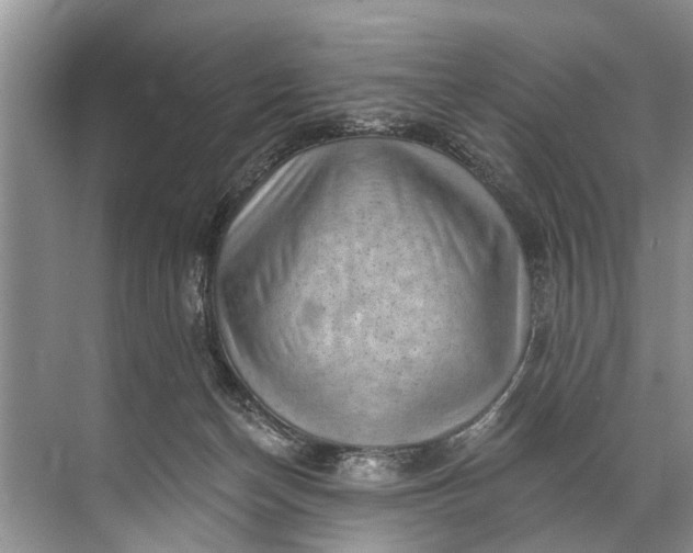 X0000071800174200607150156