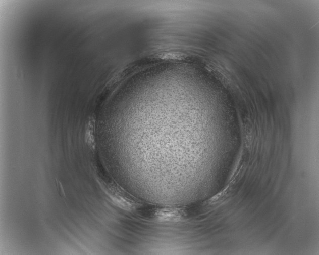 X0000071800175200607150156