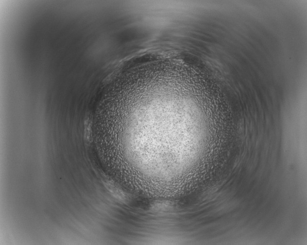 X0000071800177200607150156