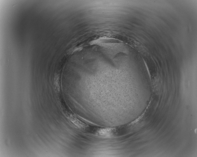 X0000071800178200607150156