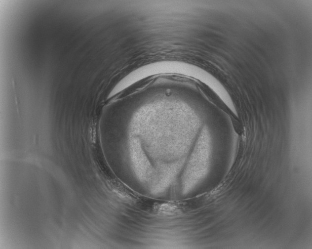 X0000071800180200607150156