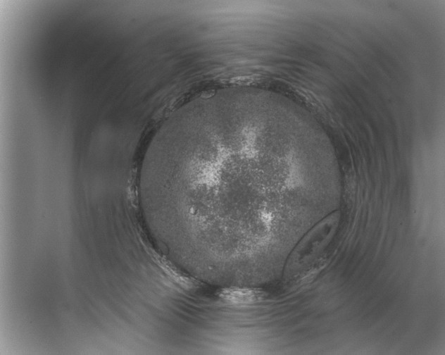 X0000071800181200607150156