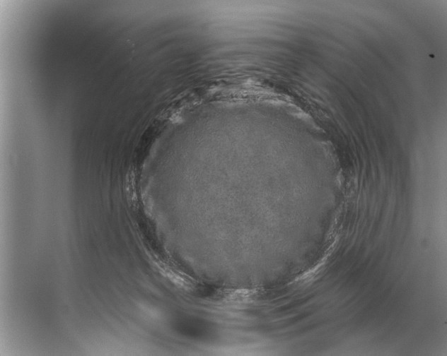 X0000071800182200607150156