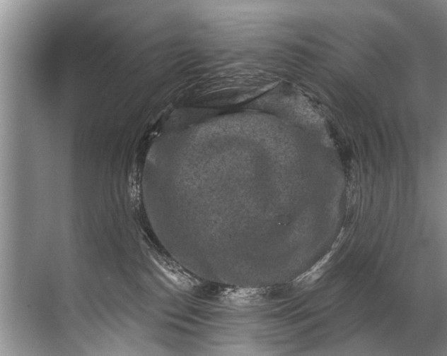 X0000071800186200607150156