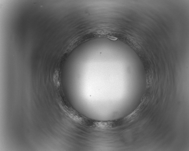 X0000071800187200607150156