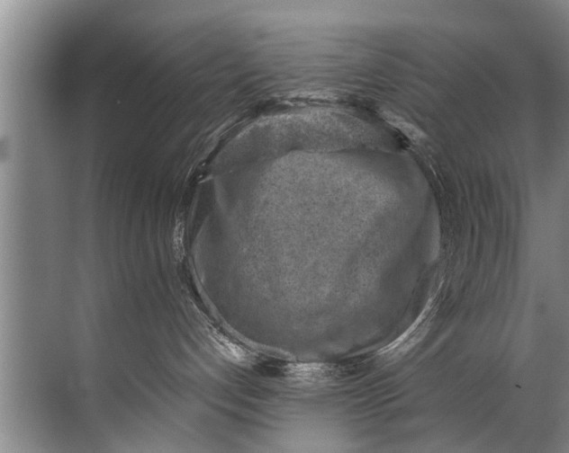 X0000071800192200607150156