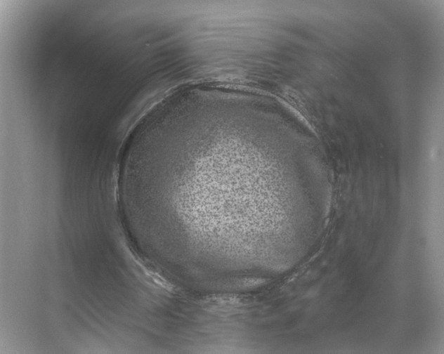 X0000071800194200607150155