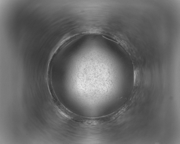 X0000071800195200607150155