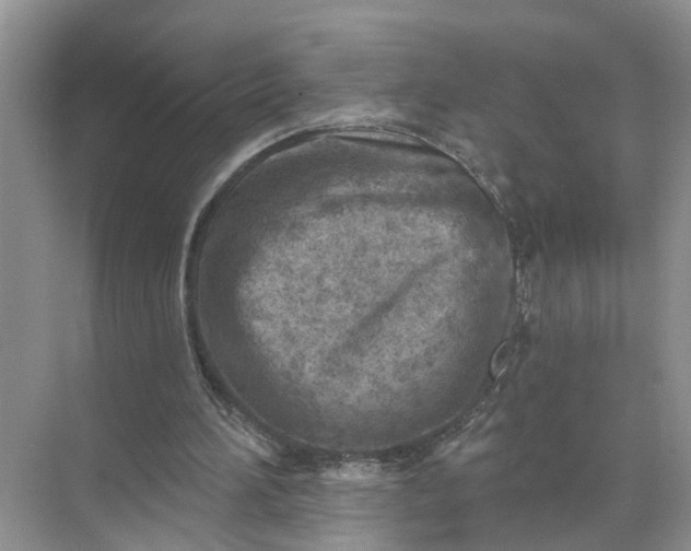 X0000071800196200607150155