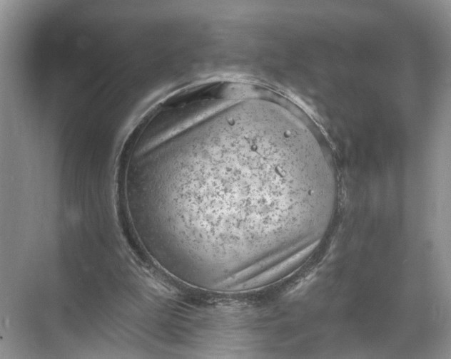 X0000071800199200607150155