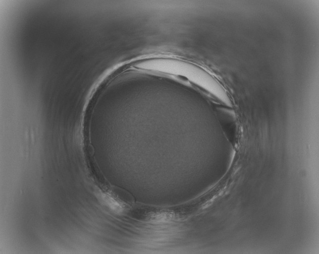 X0000071800200200607150155