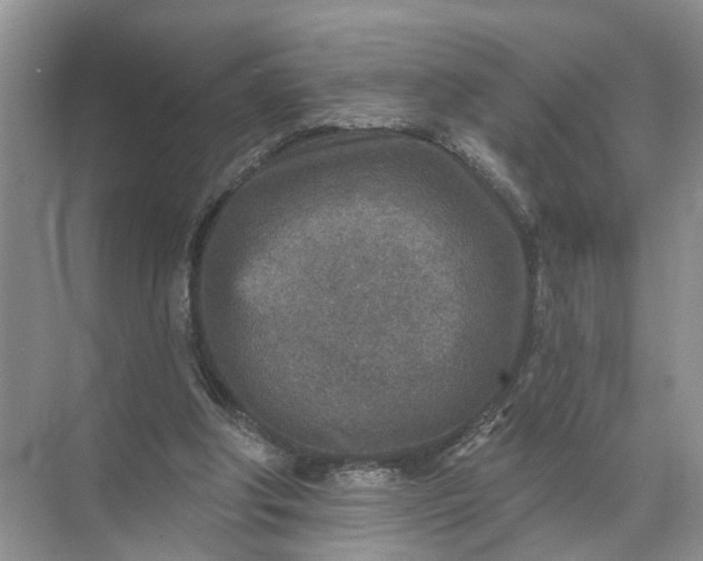 X0000071800202200607150155