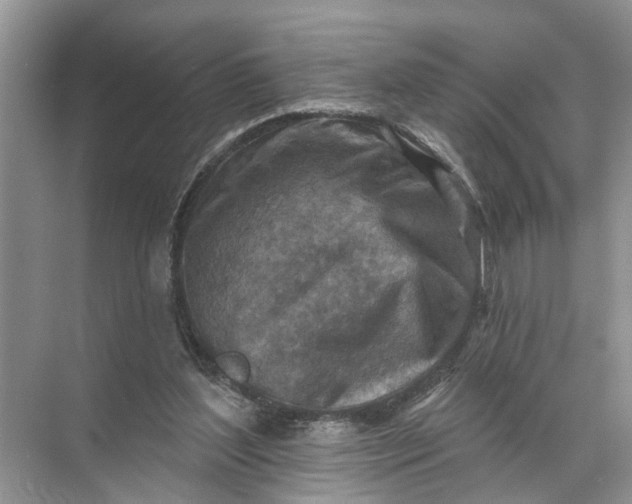 X0000071800204200607150155