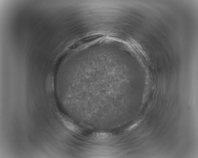 X0000071800205200607150155