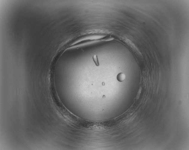 X0000071800207200607150155