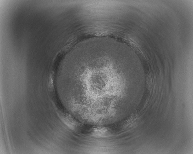 X0000071800214200607150155