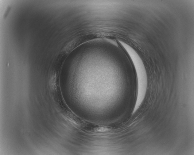 X0000071800219200607150155