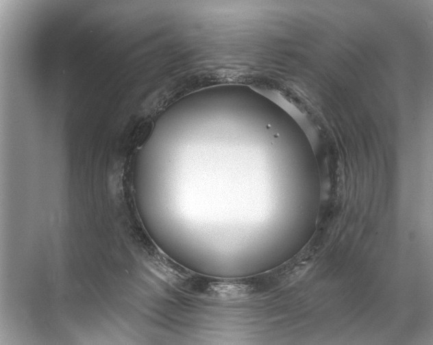 X0000071800221200607150155