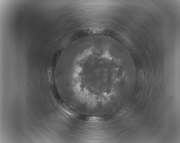 X0000071800222200607150155