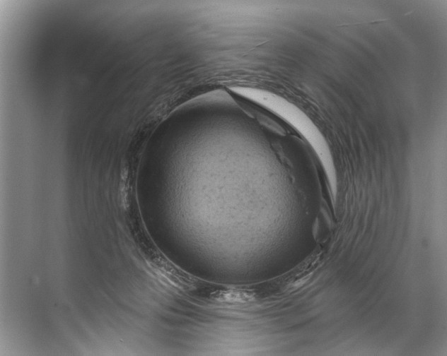 X0000071800223200607150155