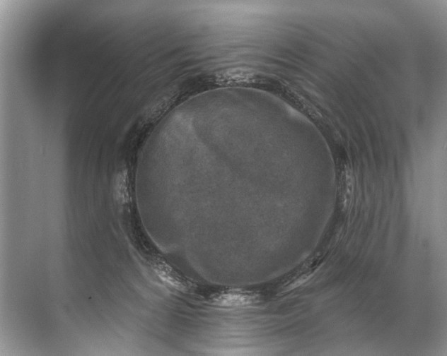 X0000071800224200607150155