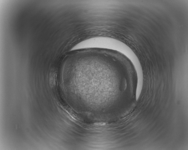 X0000071800227200607150155