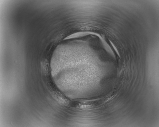 X0000071800228200607150155