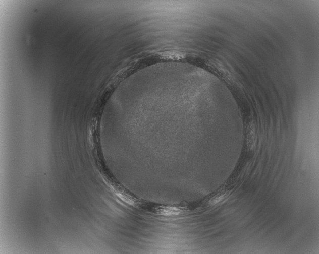 X0000071800229200607150155