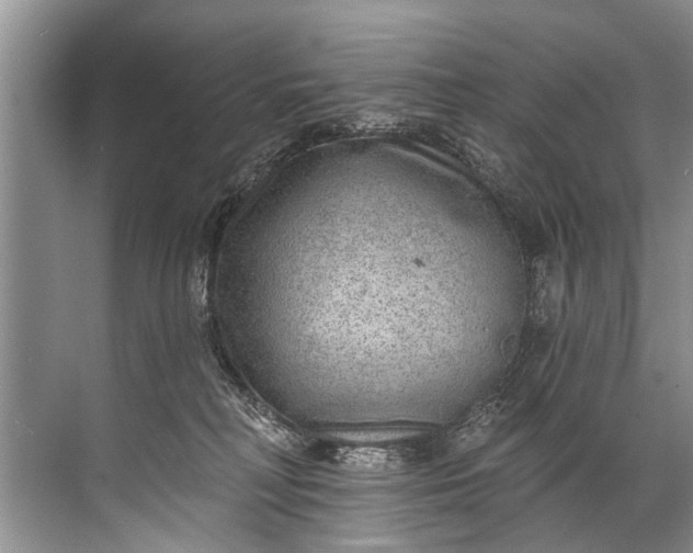 X0000071800230200607150155