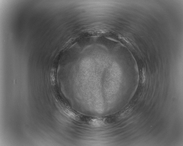 X0000071800232200607150155