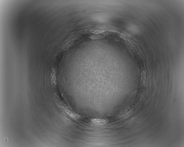 X0000071800234200607150155