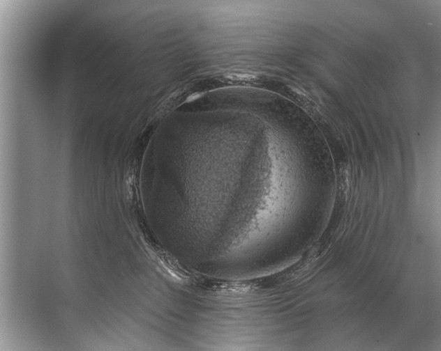 X0000071800235200607150155