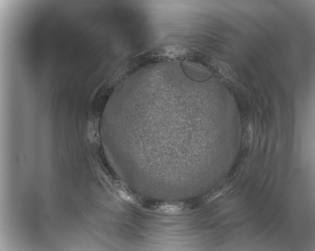 X0000071800236200607150155