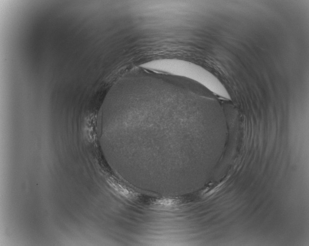 X0000071800237200607150155