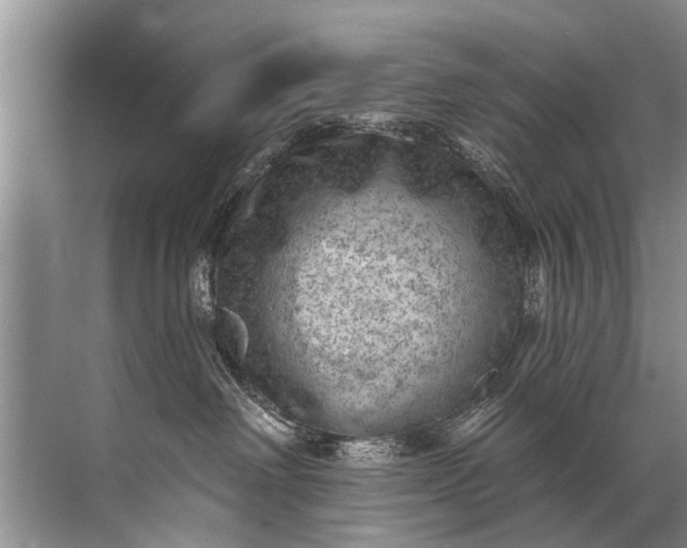 X0000071800238200607150155